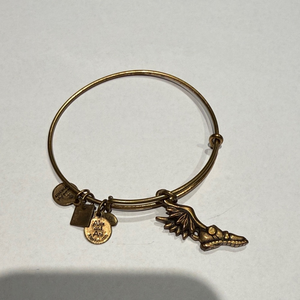 Alex and Ani Bronze Dragon Wing Charm Bangle